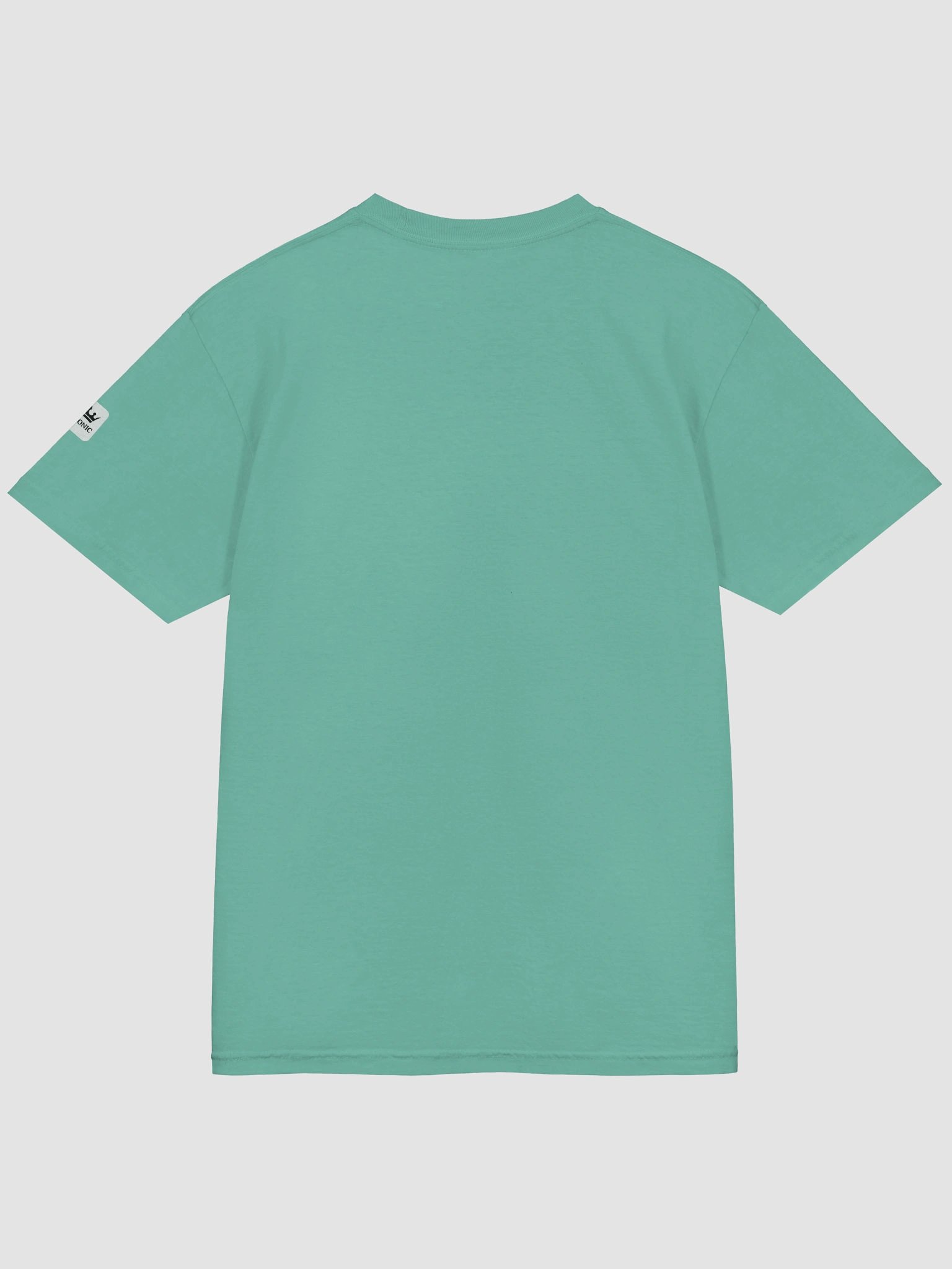 Blessed T-Shirt with Black Graphic product image (4)