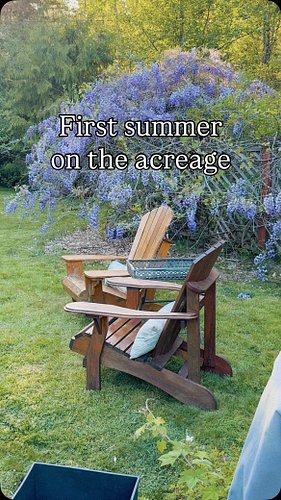 Stress level: 0

#cottagegarden #slowlivingmovement
