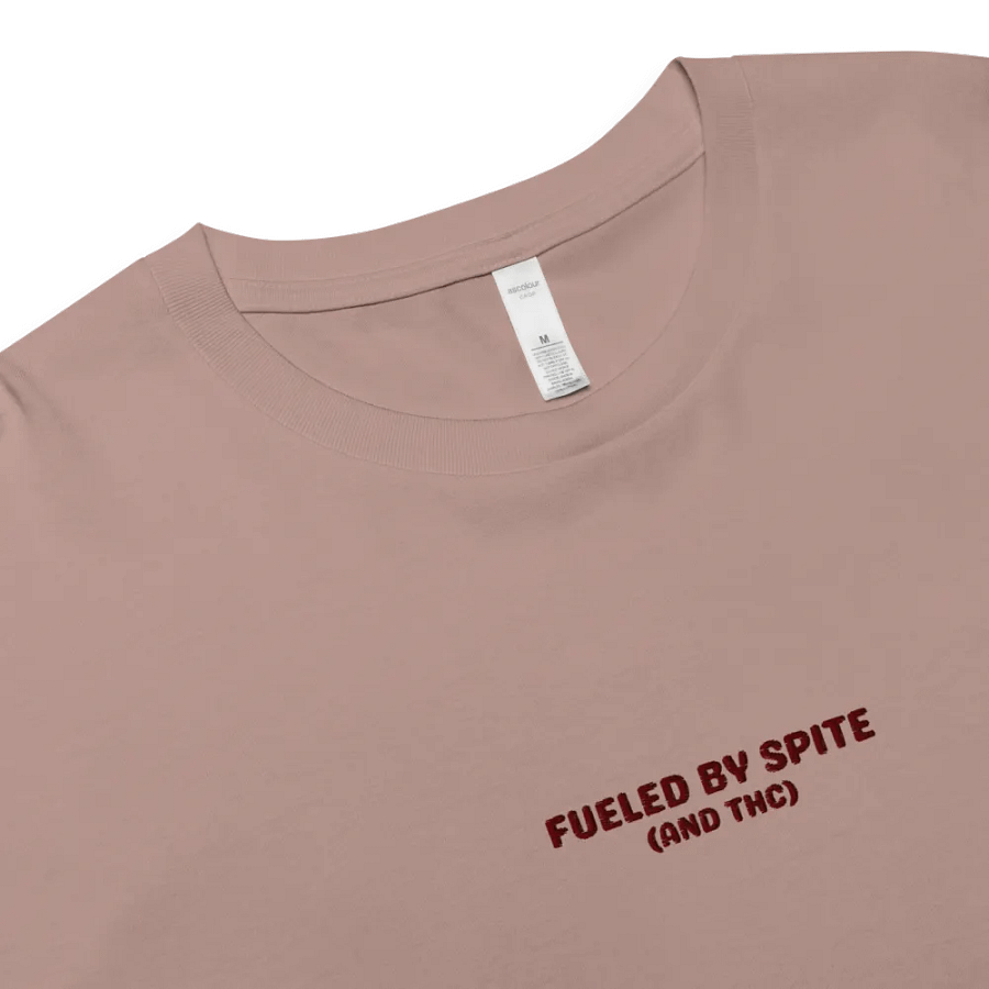 FUELED BY SPITE (maroon thread) embroidered cotton crop top product image (15)