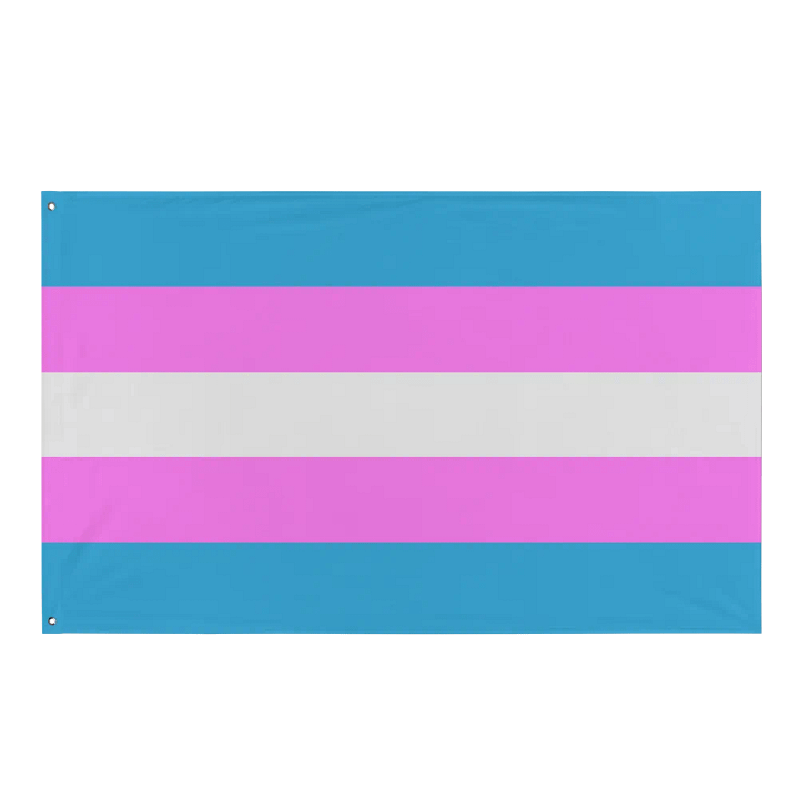 Trans Pride Flag product image (1)