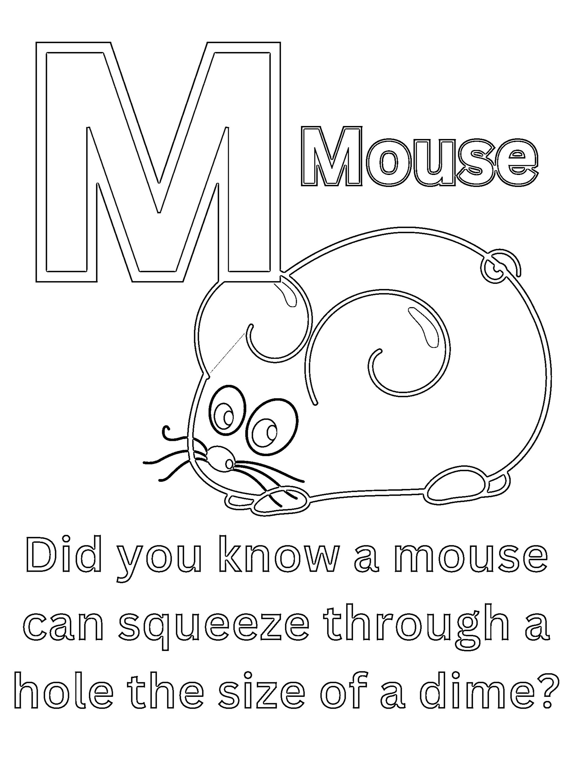 Cool Animal Facts ABCs Coloring Book: Animal Names and Information for Preschoolers and Kindergarten Children product image (6)