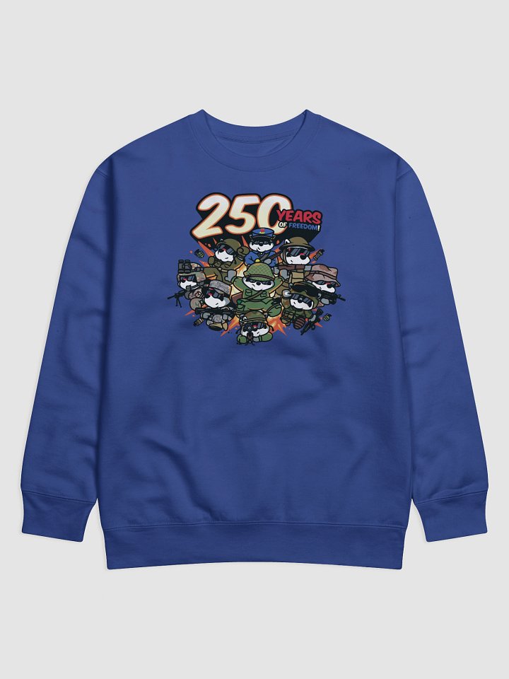 250 Years Of Freedom Pullover product image (8)