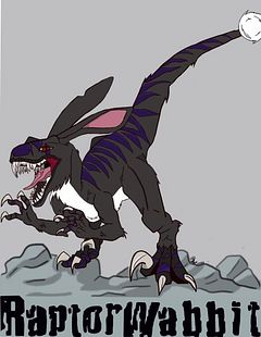 raptorwabbit