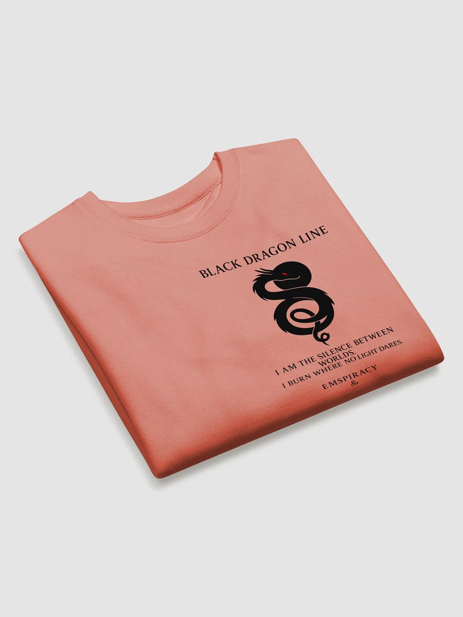 ⬛ BLACK DRAGON — SWEATER product image (23)