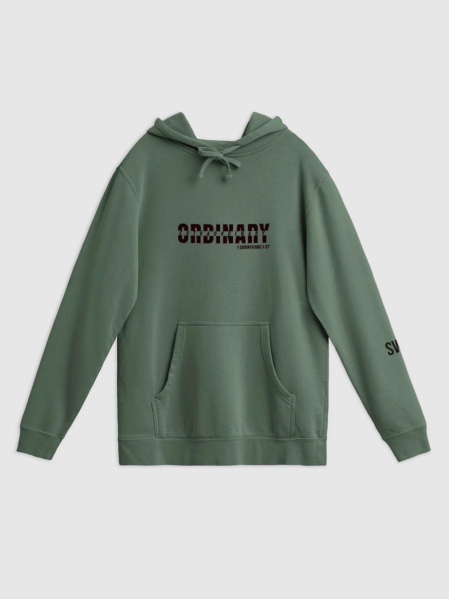 The Ordinary Hoodie product image (15)