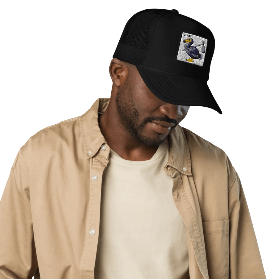 Clatt Dodo Statement Hat product image (6)