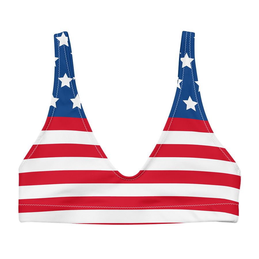 Patriotic Pride Recycled Bikini Top product image (1)