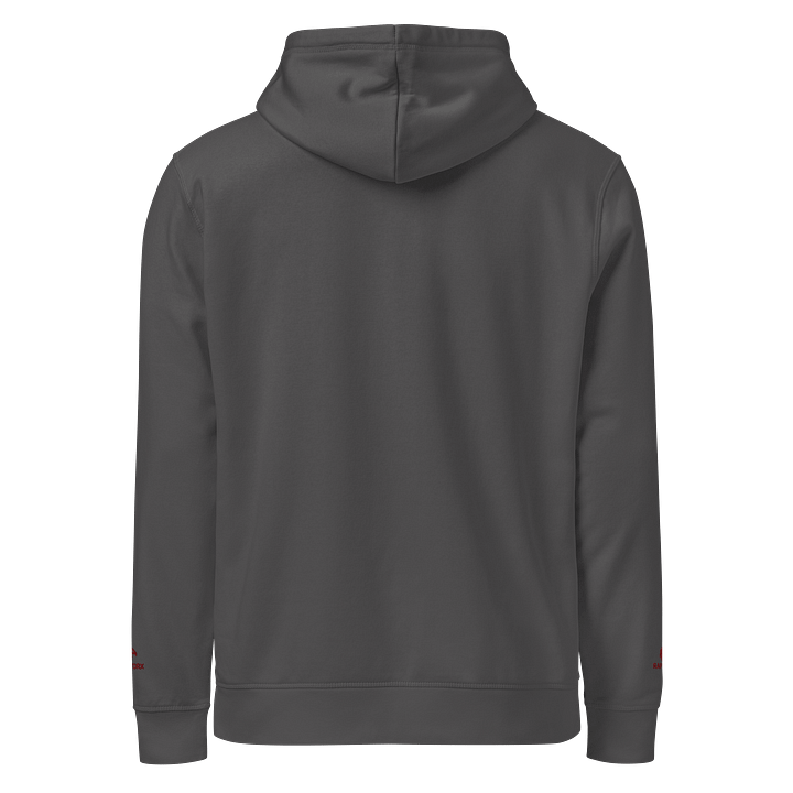 RaptorX Bold Maroon Hoodie product image (23)