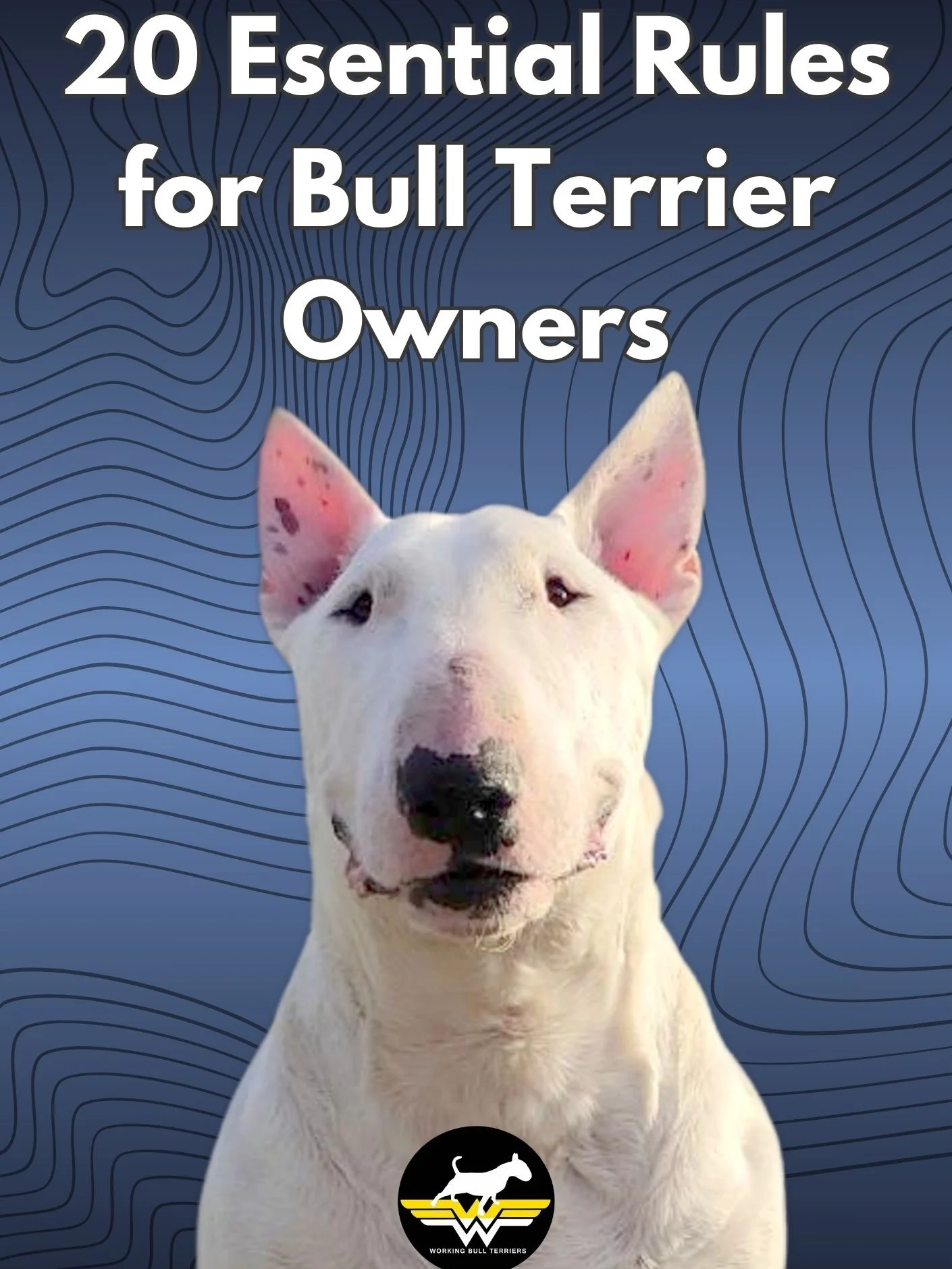The Ultimate Bull Terrier Library Bundle (E-Books) product image (4)