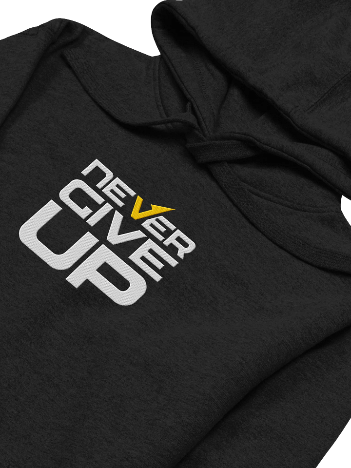 Never Give Up! Center Embroidered Hoodie product image (2)