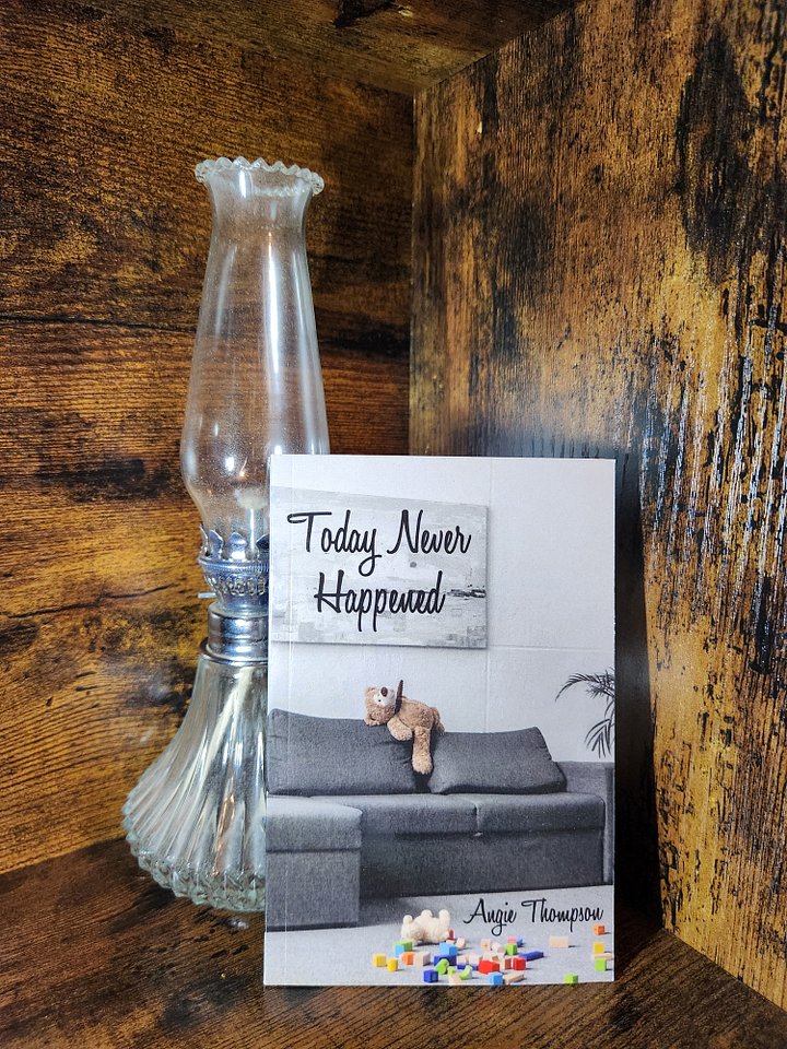 Today Never Happened (Paperback, Mini-Book) product image (2)