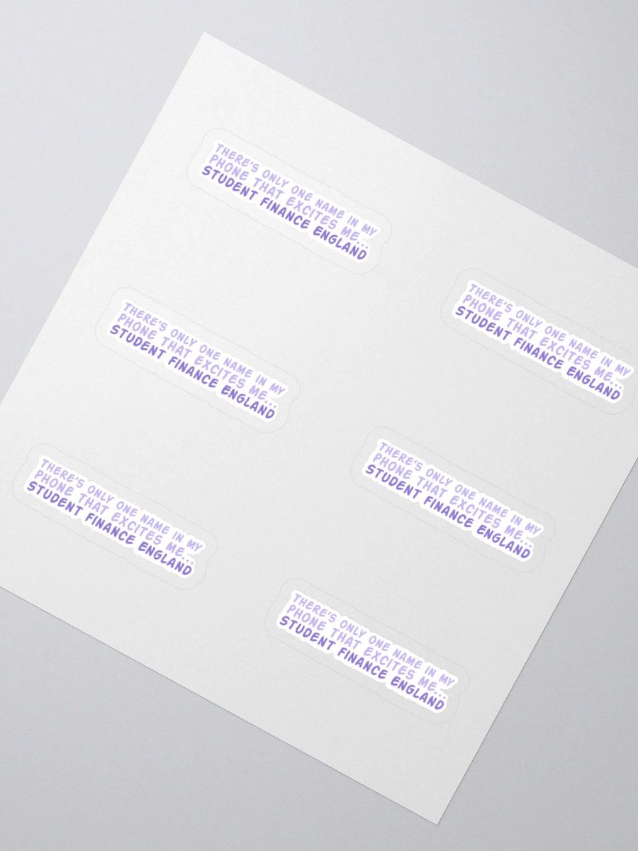Student Finance Sticker (MEDIUM Sheet) product image (2)