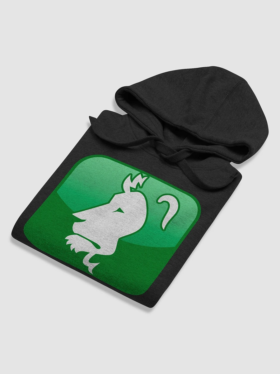 Copy of ARIES Hoodie product image (71)