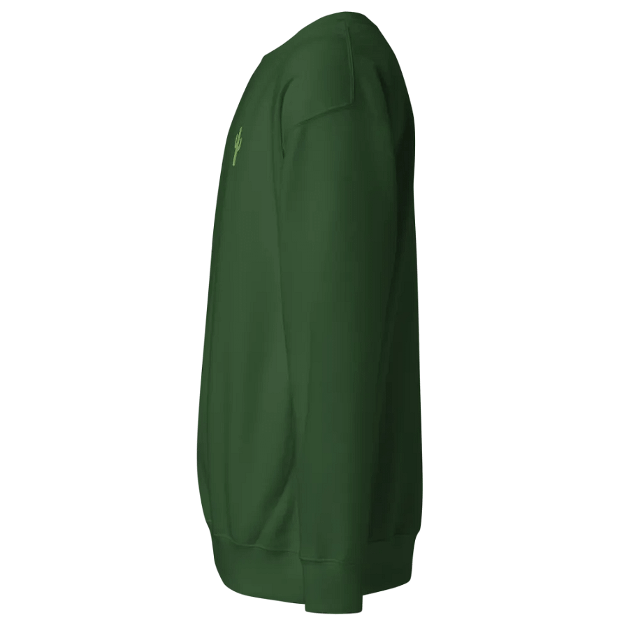 Embroidered Cactus product image (18)
