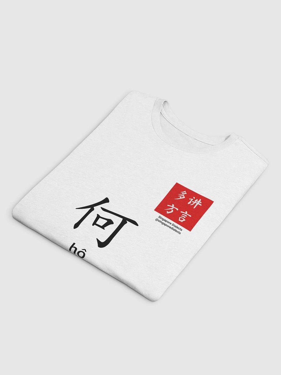 何 Ho (Hokkien) Surname T-Shirt (Light) product image (4)