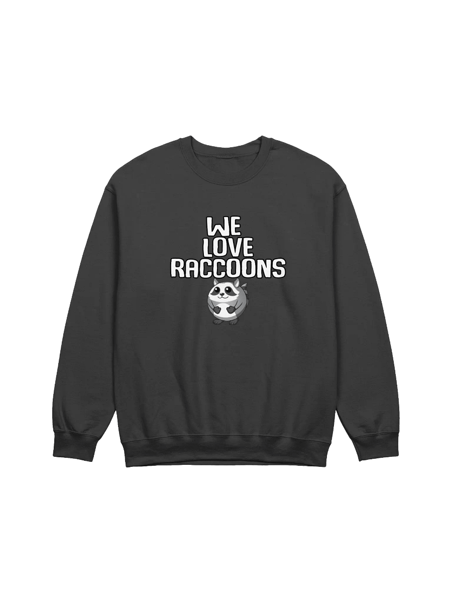 Raccoon Sweater product image (5)