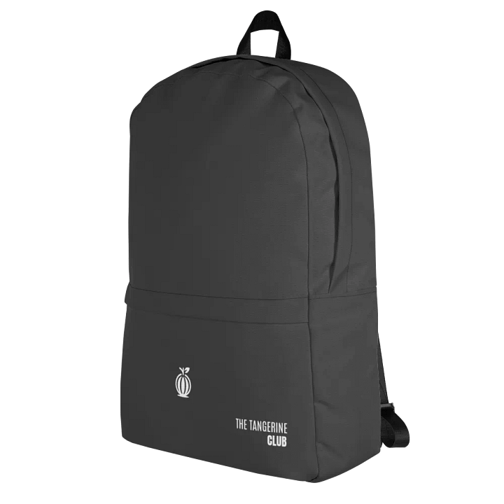 TTC Minimalist Black Backpack 15'' laptop product image (1)