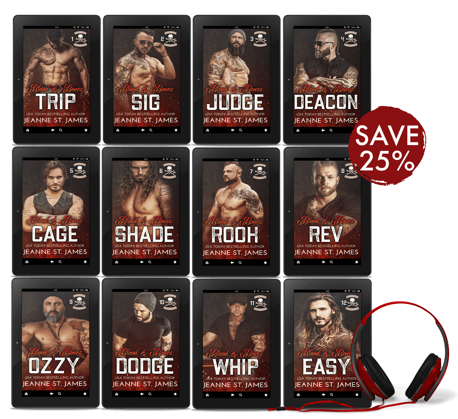 Blood Fury MC Audiobook Bundle product image (1)