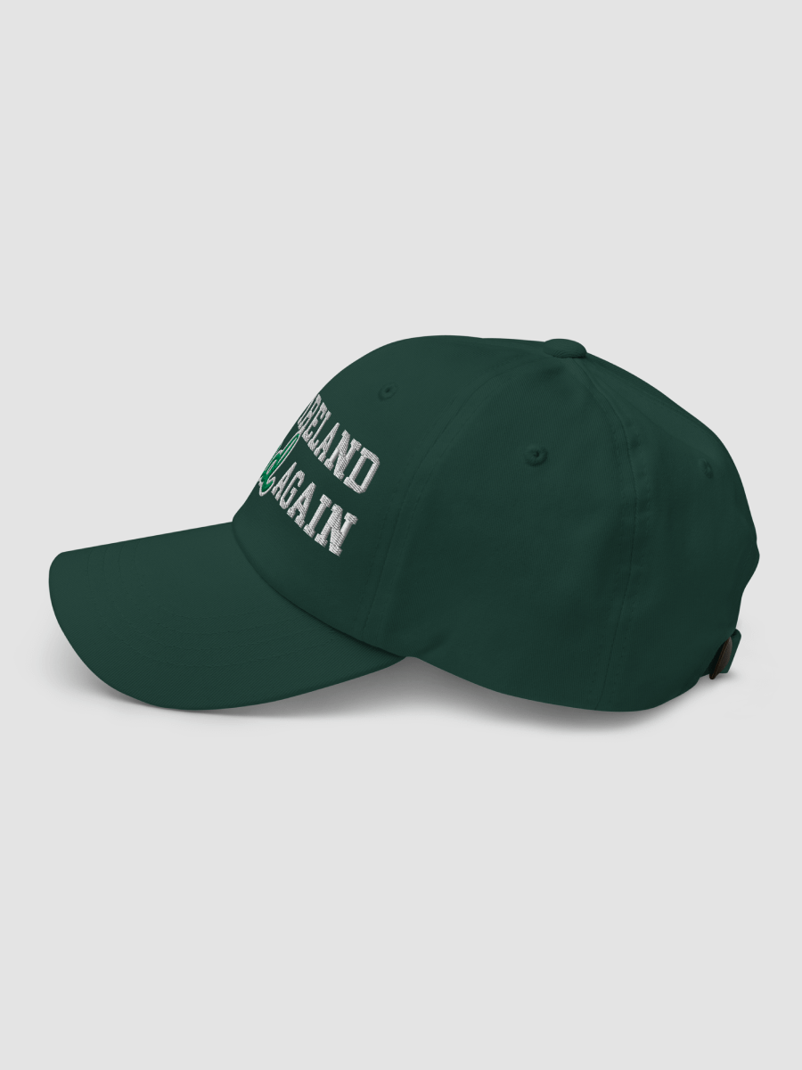'Make Ireland Sound Again' - Classic Dad Hat product image (9)
