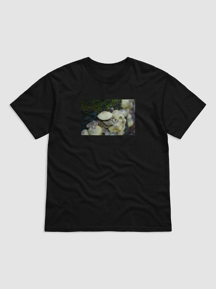 Mushrooms product image (1)