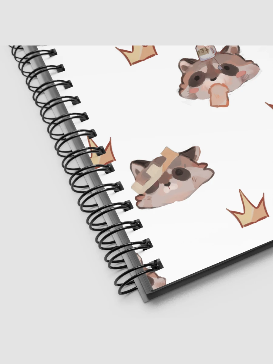 Raccoon Notebook product image (2)