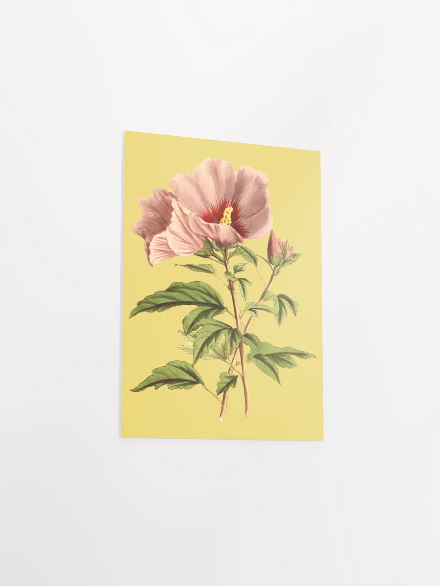 Pink Blossom Poster Print product image (5)