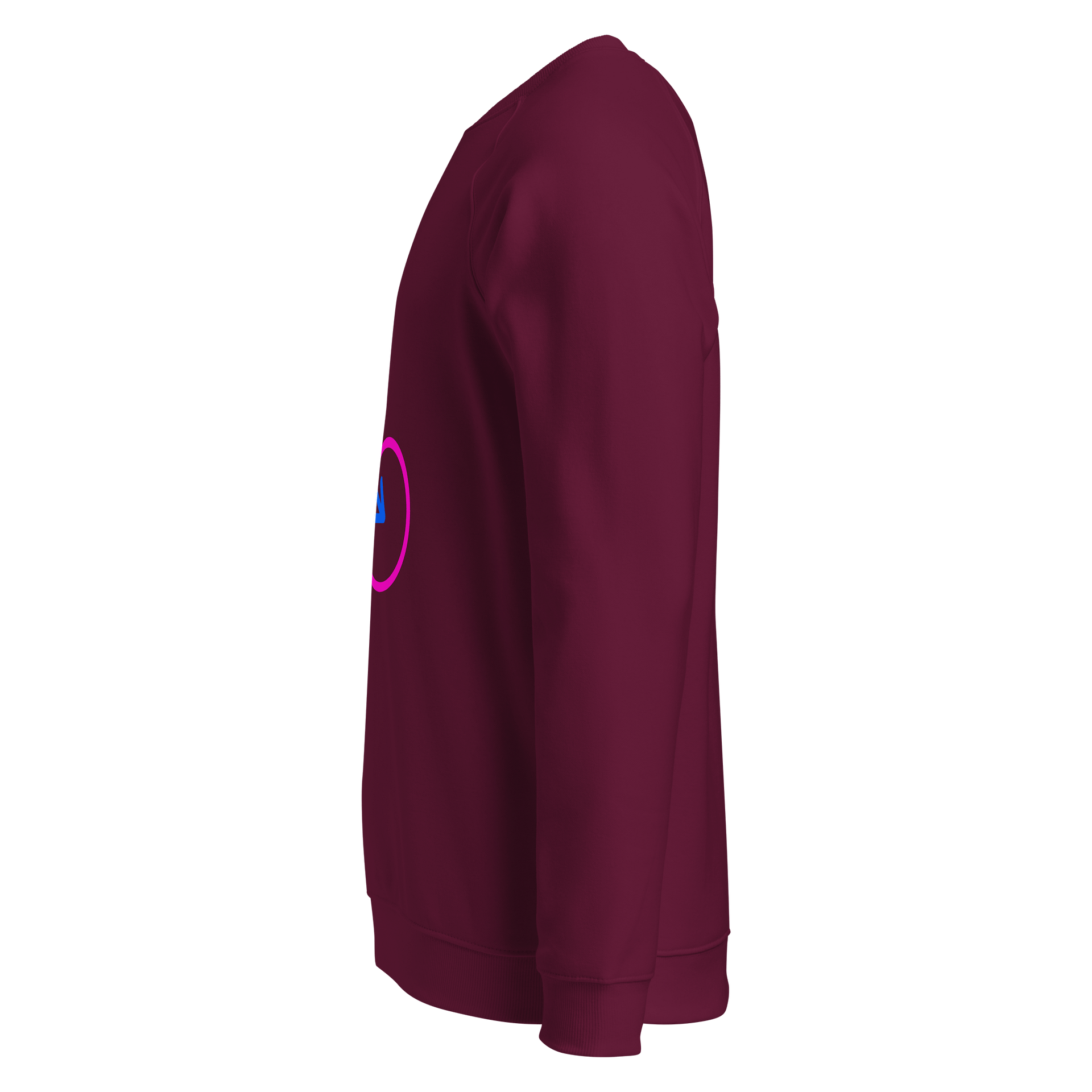 Male & Female Genders Only Raglan Sweatshirt product image (3)