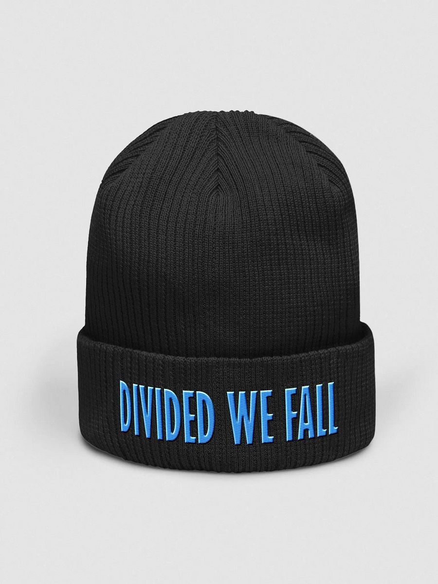 Divided We Fall - Blue - Beechfield Organic Ribbed Beanie product image (1)