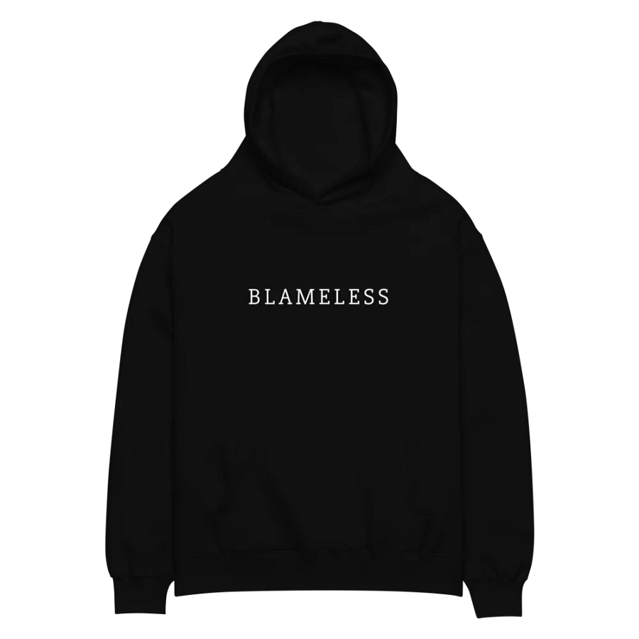 Everything Hoodie product image (3)