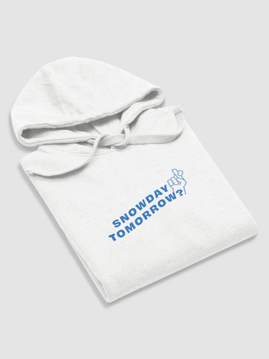 BNW - snowday tomorrow, white, hoodie product image (5)