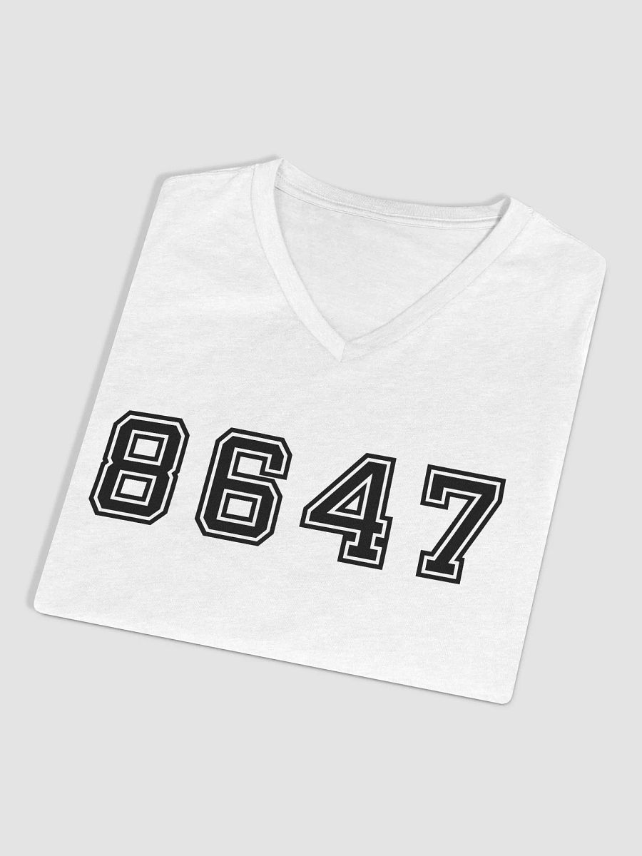 8647 College Relaxed V-Neck T-Shirt B product image (26)