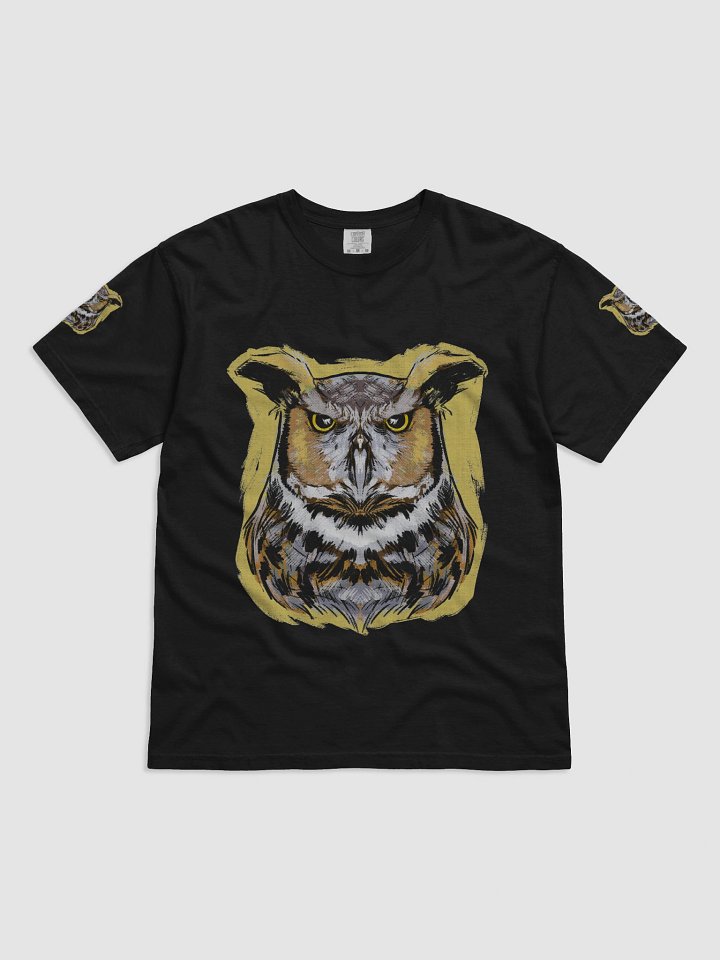 Barn Owl product image (4)