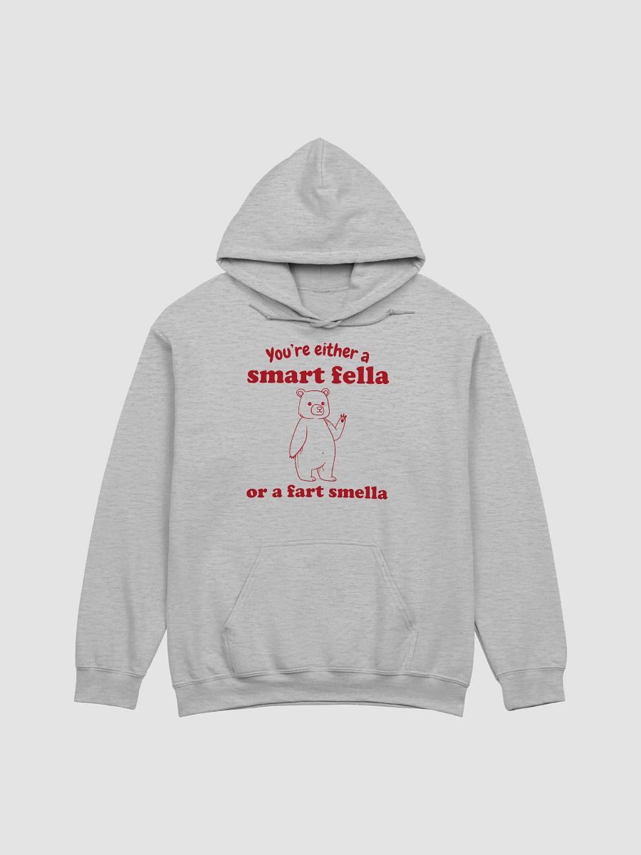 You're either a smart fella or a fart smella Hoodie product image (1)