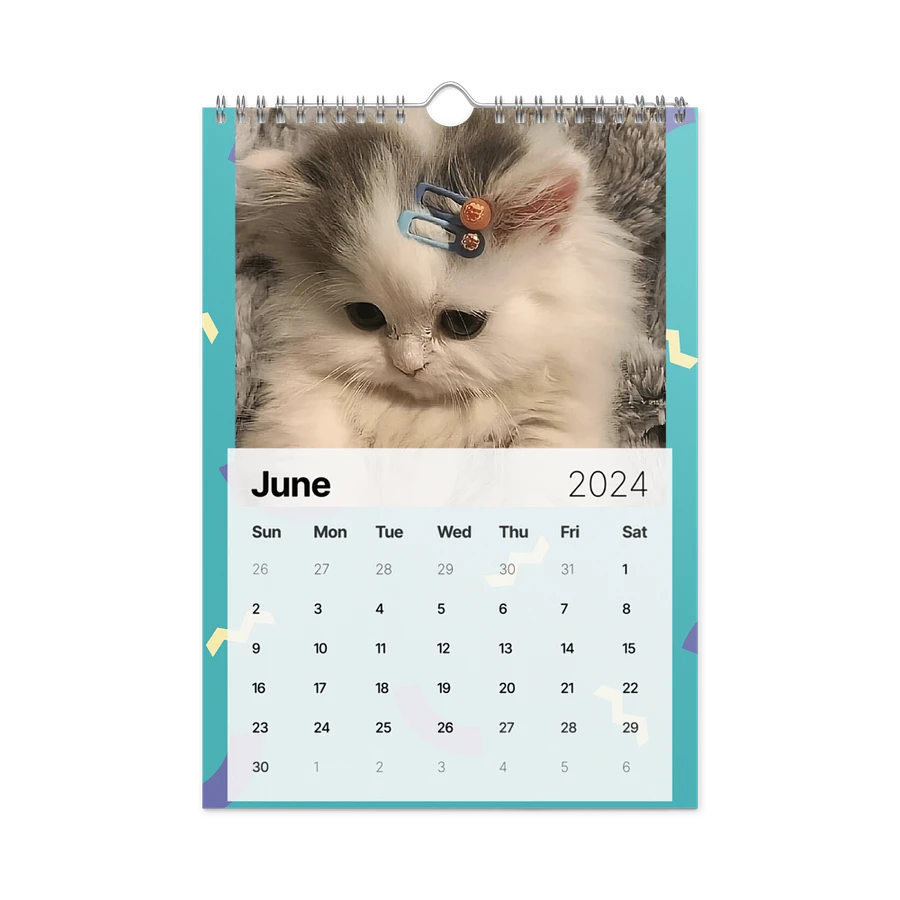 Wall Calendar (2024): Meme Cats product image (12)