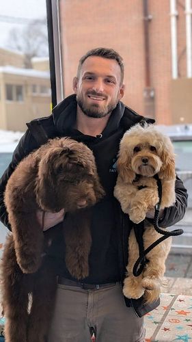 🐶 Bruno’s Training Journey – Day 22! 

At just 4 months old, Bruno the English Goldendoodle is absolutely crushing his Room &...