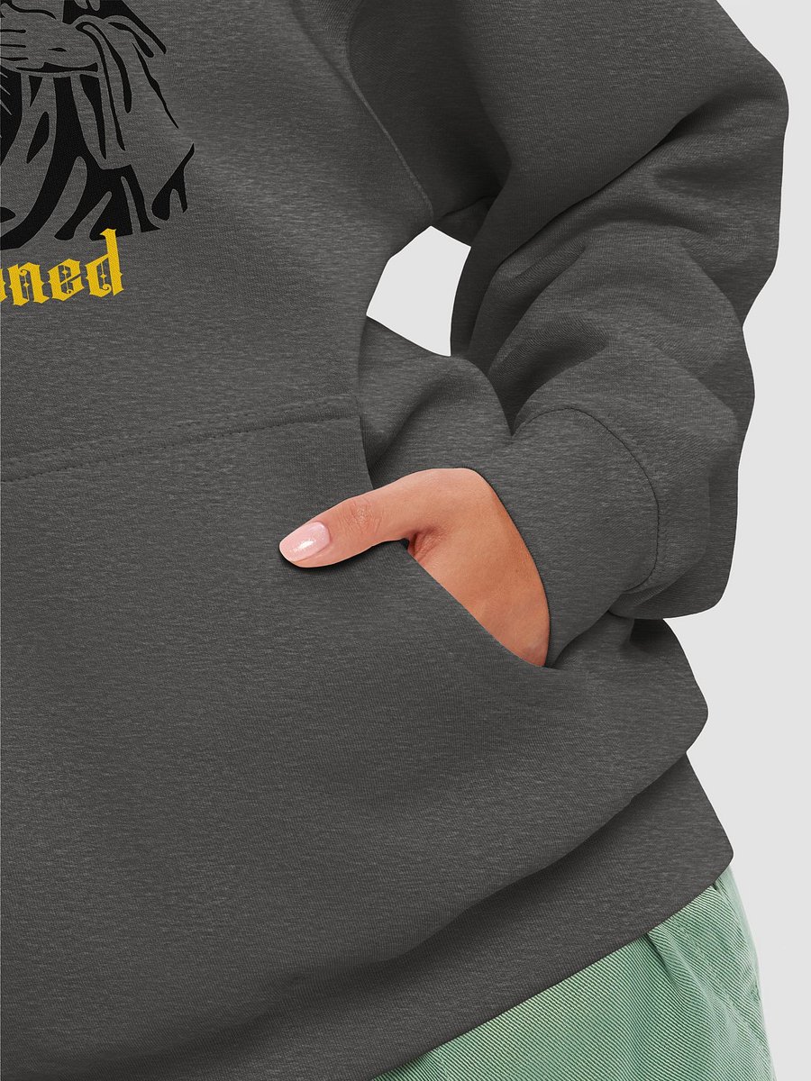 Righteous! product image (22)