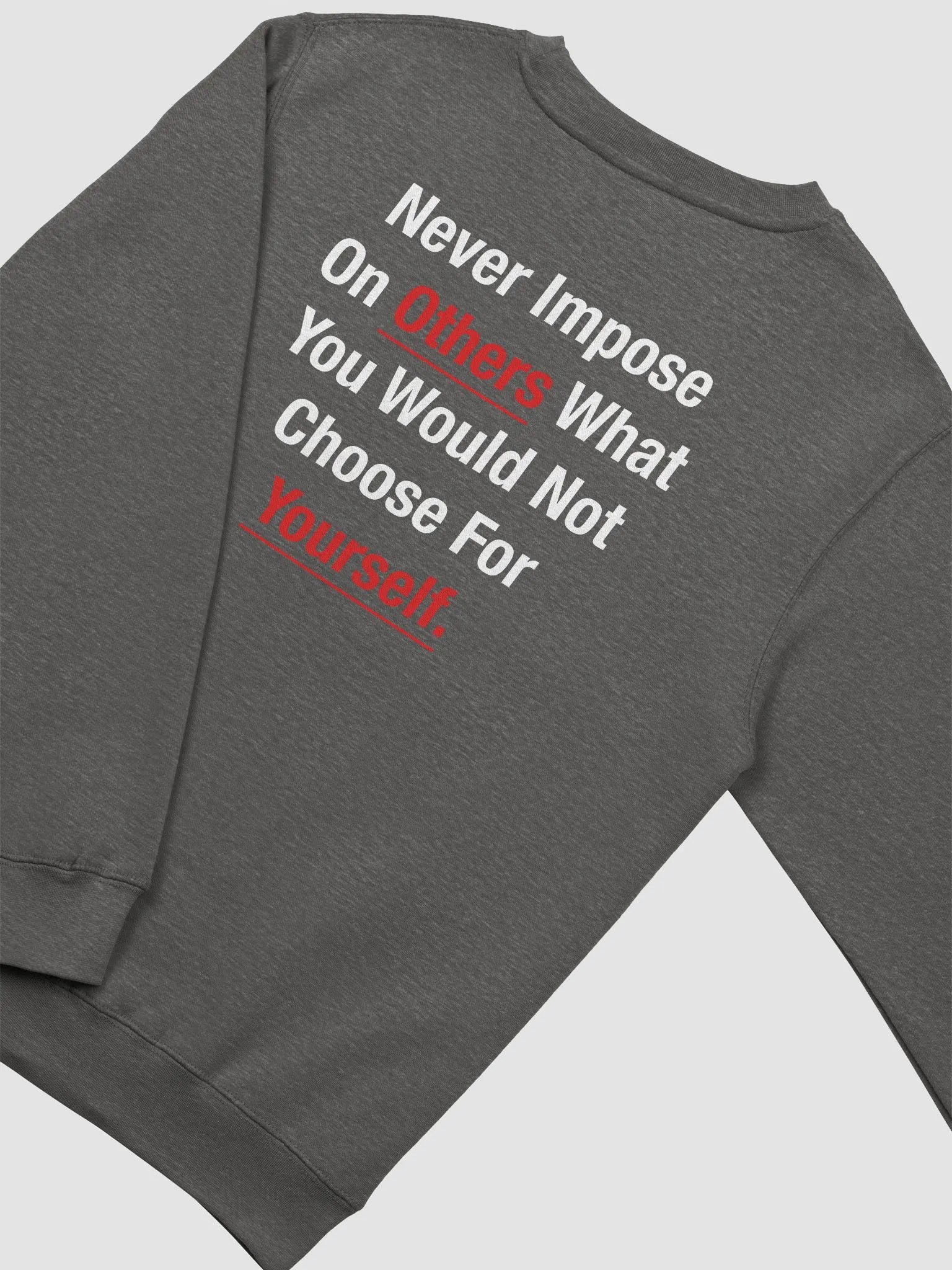 Morality Sweatshirt product image (4)