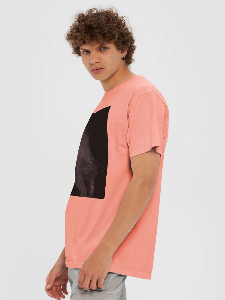 Cash product image (2)