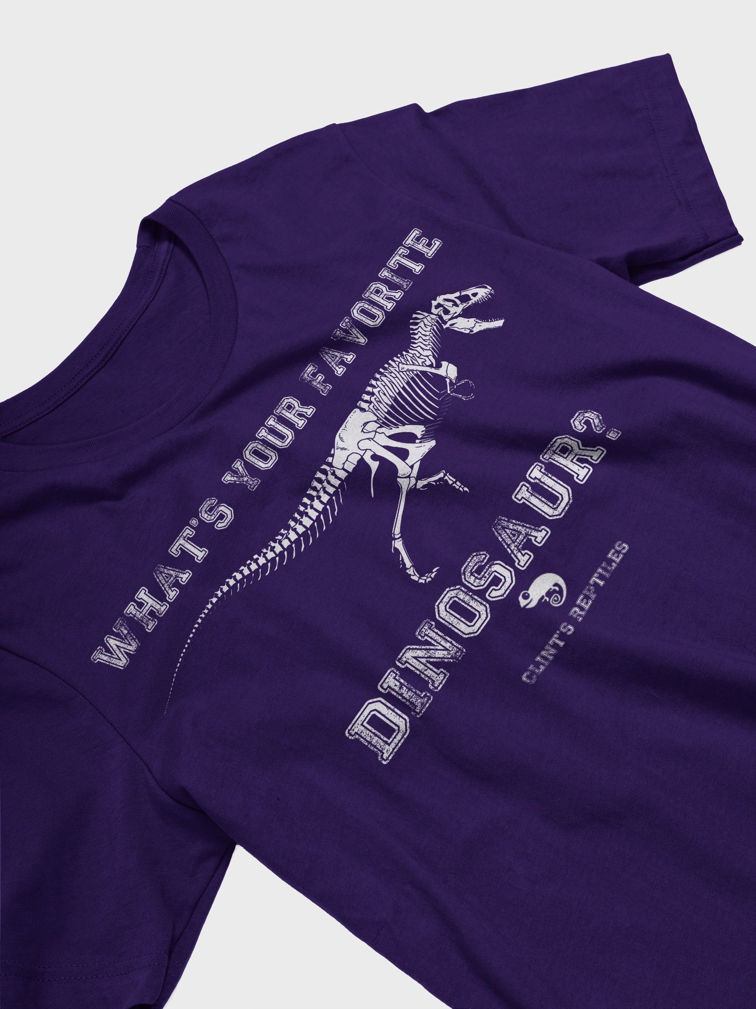 What's Your Favorite Dinosaur? T. rex Shirt product image (24)