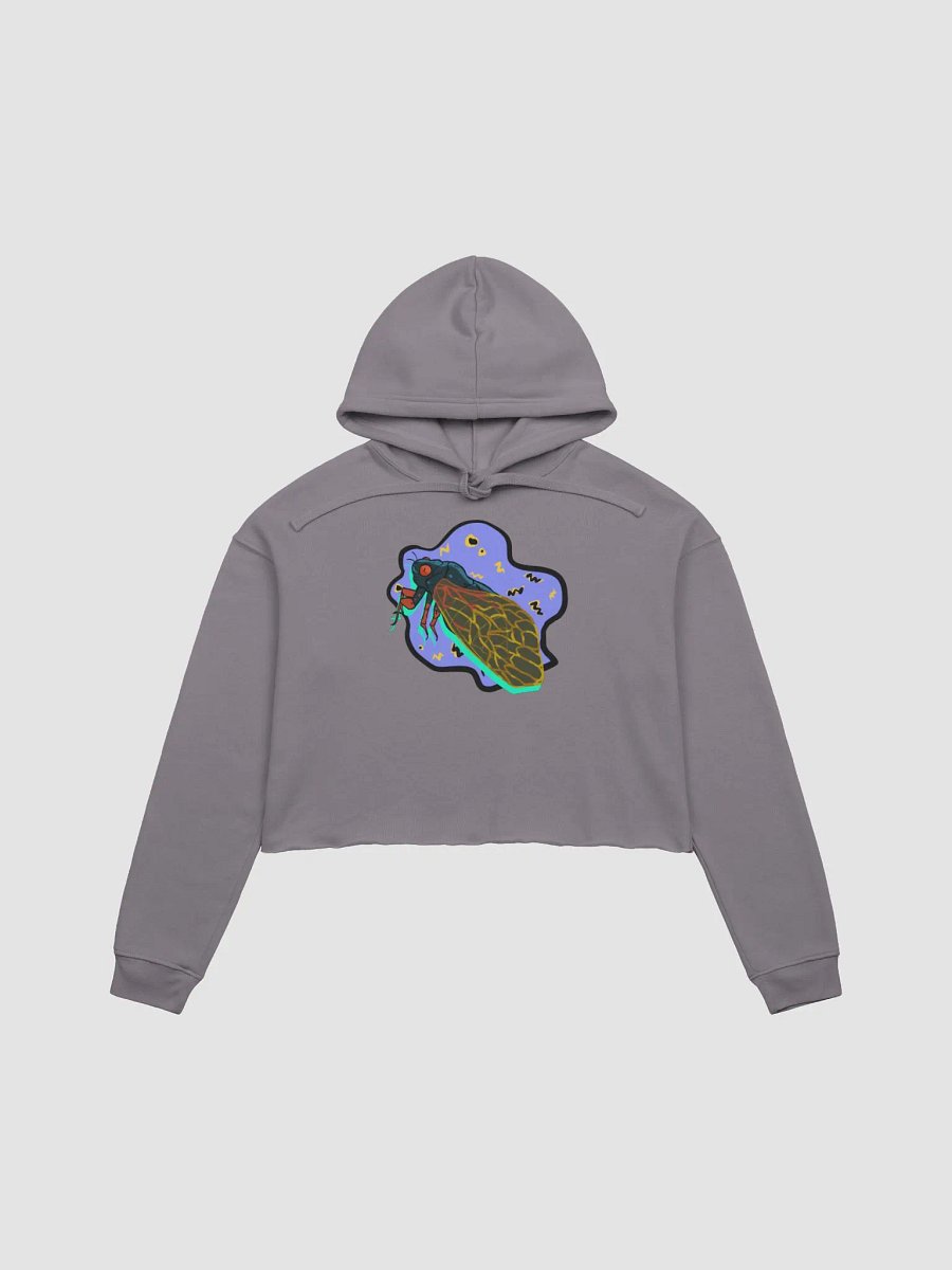 Vaporcicada fleece crop hoodie product image (2)