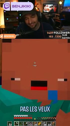 Ils brûlent ma maison !? #clips #minecraft #humour #twitch