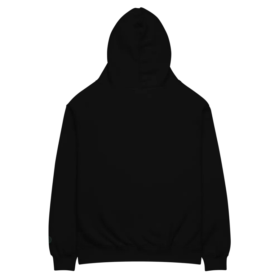 Embroidered Hoodie product image (5)