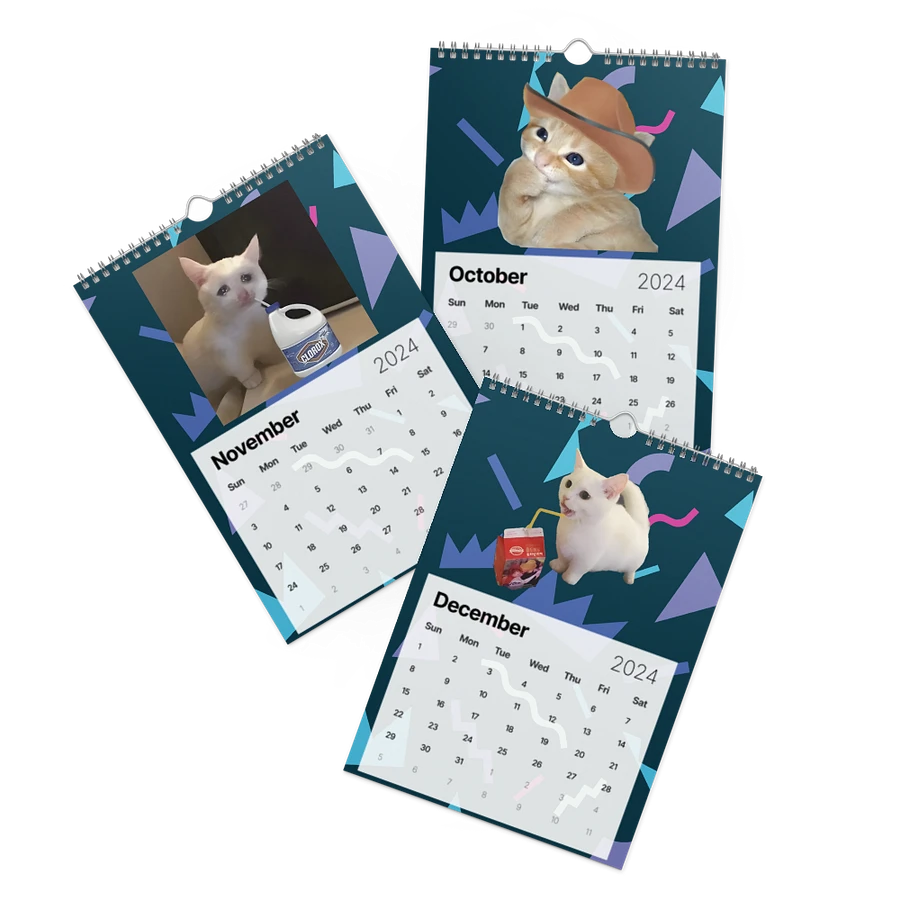 Wall Calendar (2024): Meme Cats product image (17)