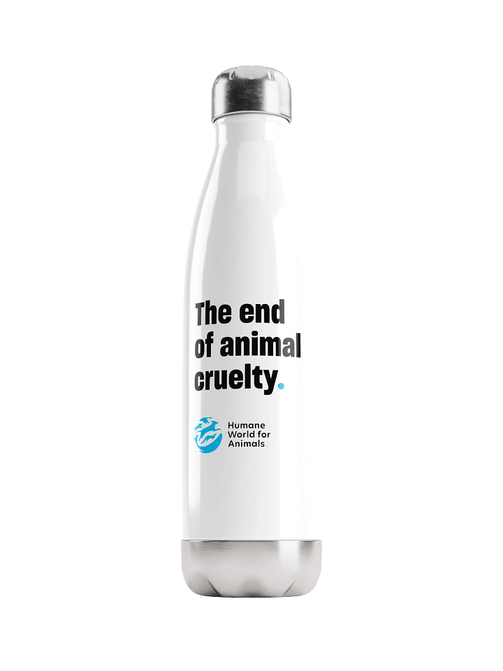 Stainless Steel Water Bottle product image (1)