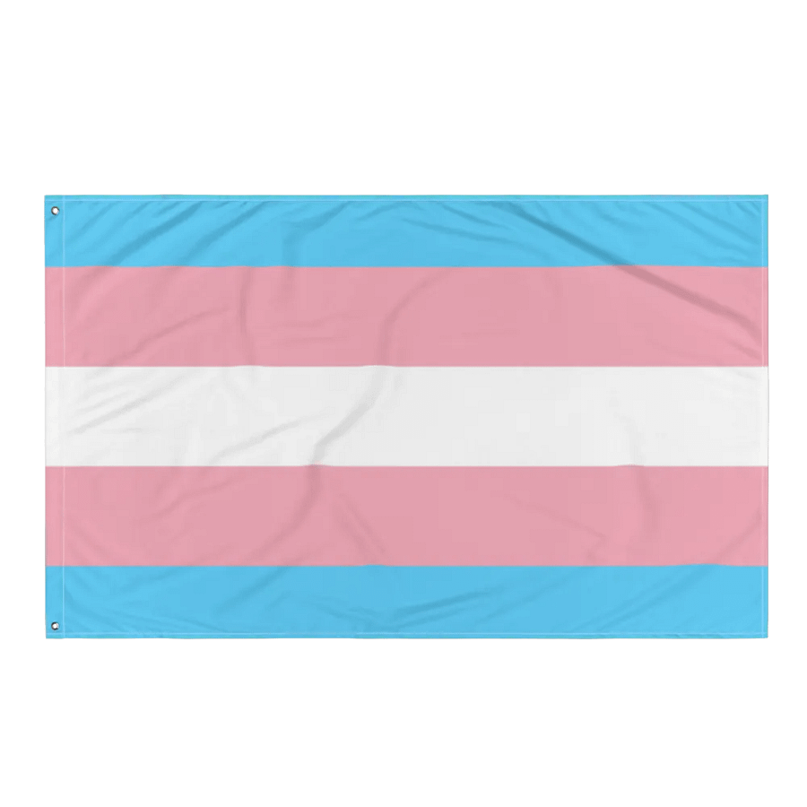 Transgender Flag product image (3)