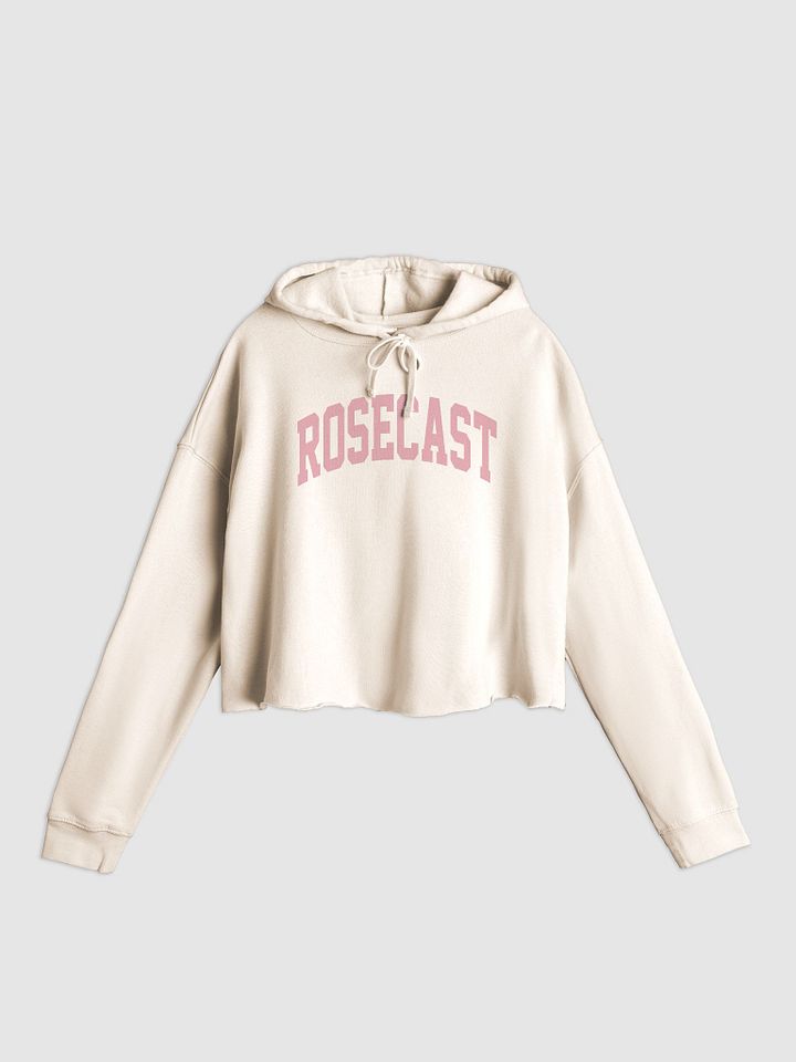 College Block Cropped Hoodie product image (1)