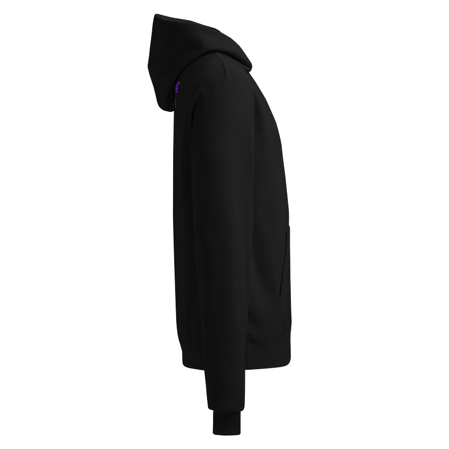 Sweats à capuche - 200th LEGION X CHAMPION product image (4)