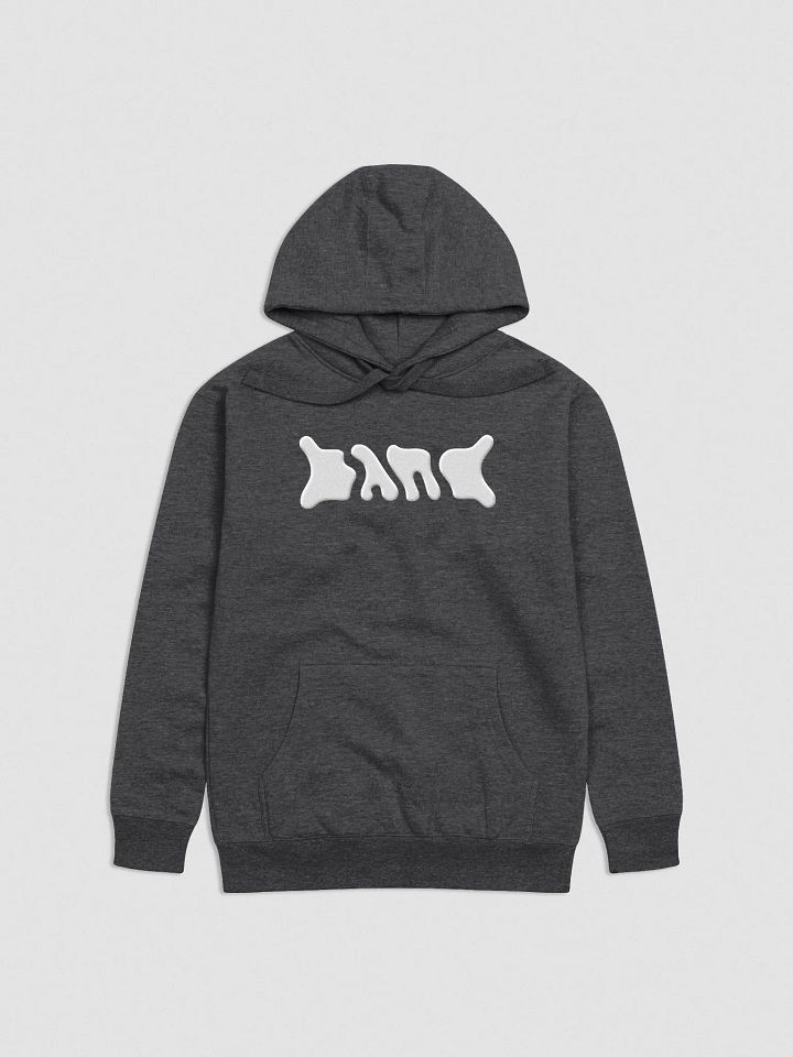BAND Logo Hoodie Embroidered product image (1)
