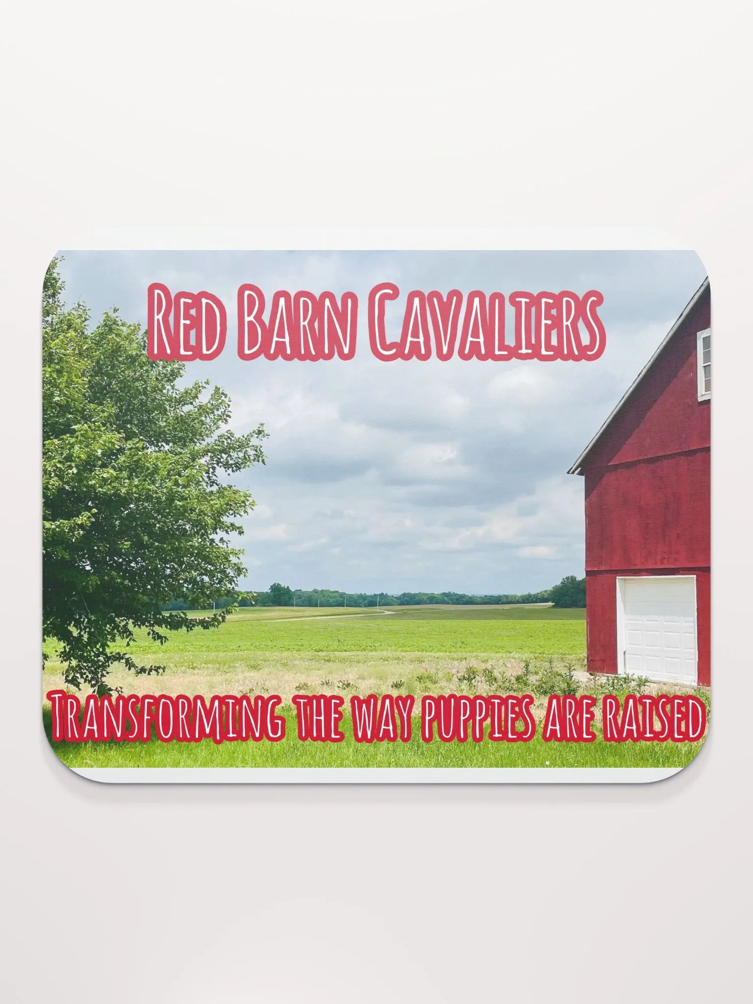 Red Barn Cavaliers Mousepad product image (3)