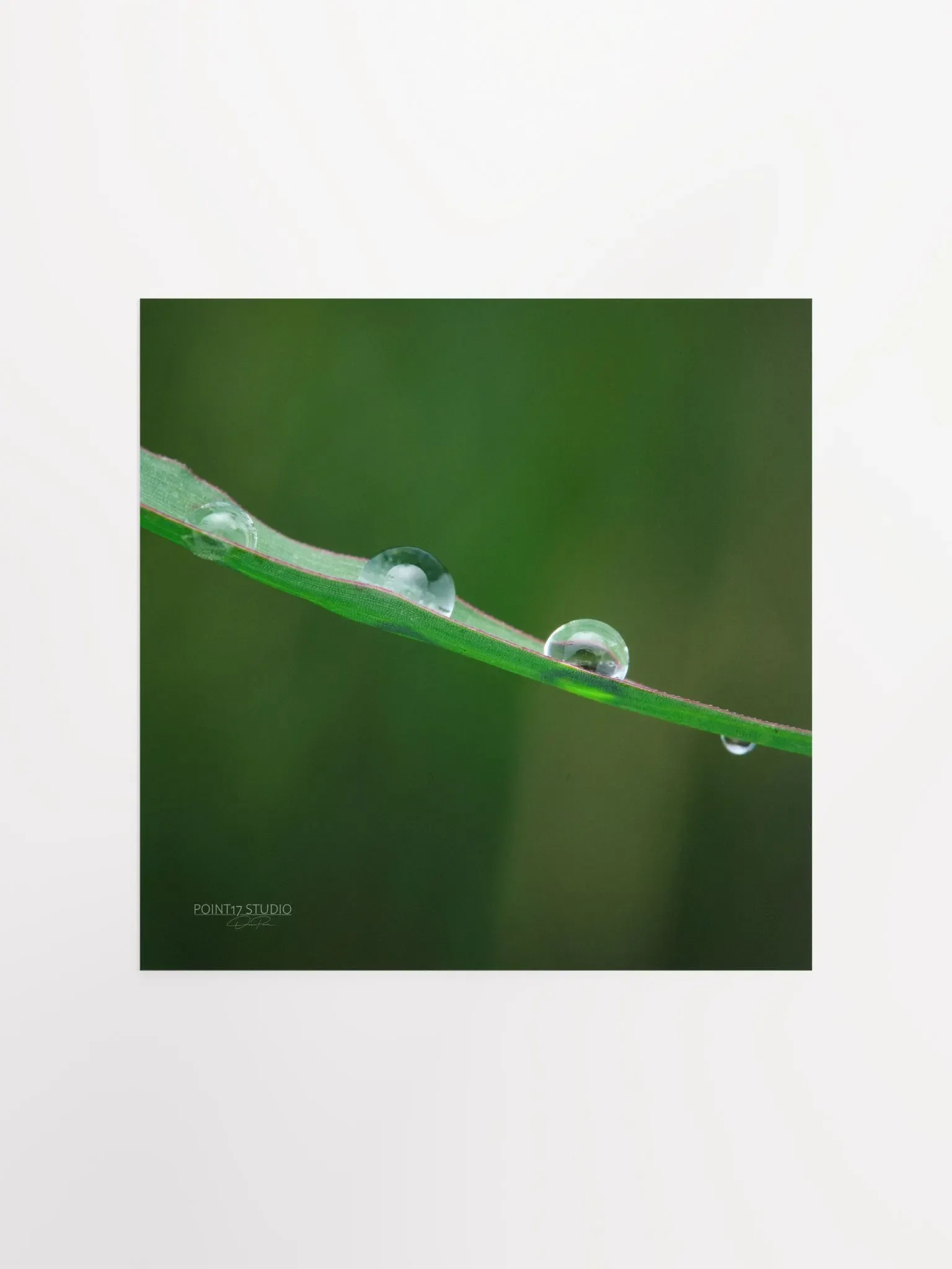 Dew Gems #5 - Print product image (1)